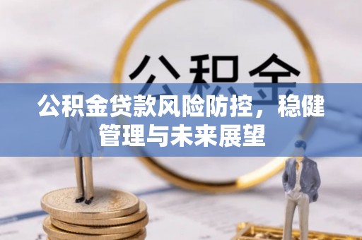 陵城公积金贷款风险防控，稳健管理与未来展望