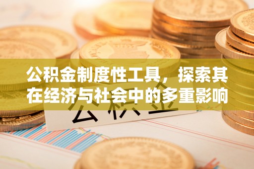 陵城公积金制度性工具，探索其在经济与社会中的多重影响