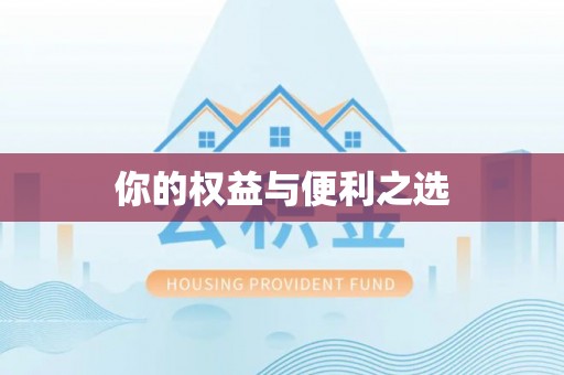 陵城你的权益与便利之选
