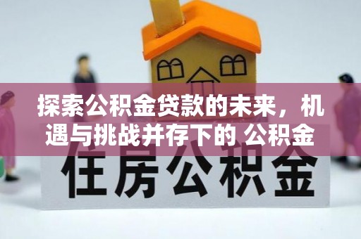 陵城探索公积金贷款的未来，机遇与挑战并存下的 公积金贷款风险防控