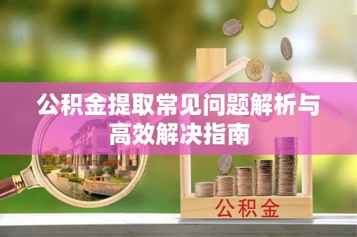 陵城公积金提取常见问题解析与高效解决指南