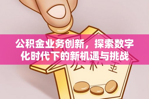 陵城公积金业务创新，探索数字化时代下的新机遇与挑战