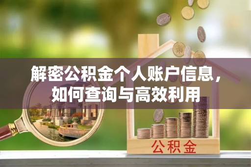 陵城解密公积金个人账户信息，如何查询与高效利用
