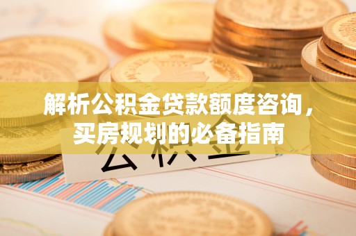 陵城解析公积金贷款额度咨询，买房规划的必备指南