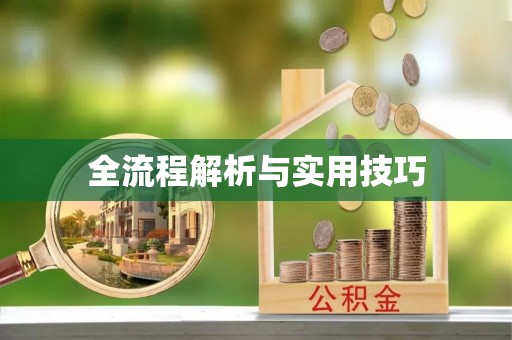 陵城全流程解析与实用技巧