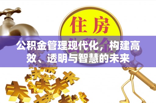 陵城公积金管理现代化，构建高效、透明与智慧的未来