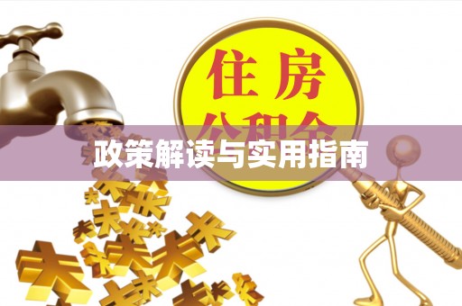 陵城政策解读与实用指南