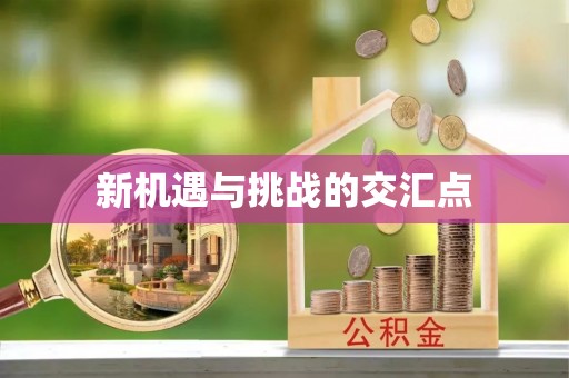 陵城新机遇与挑战的交汇点
