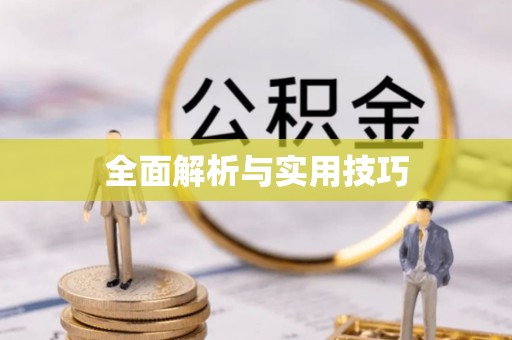 陵城全面解析与实用技巧