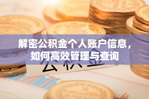 陵城解密公积金个人账户信息，如何高效管理与查询
