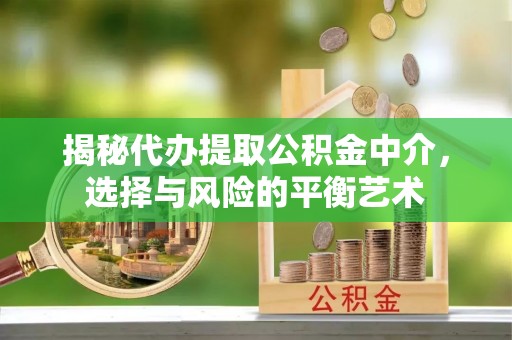 陵城揭秘代办提取公积金中介，选择与风险的平衡艺术