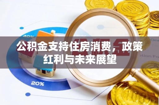 陵城公积金支持住房消费，政策红利与未来展望