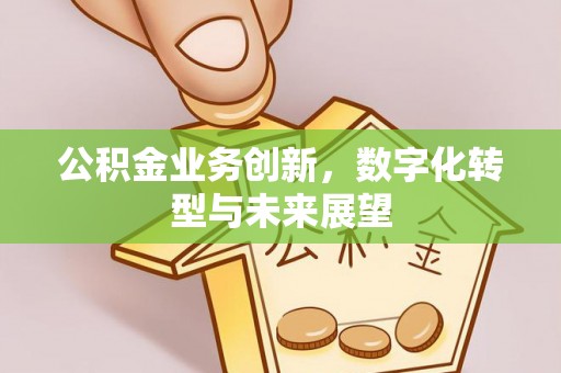 陵城公积金业务创新，数字化转型与未来展望