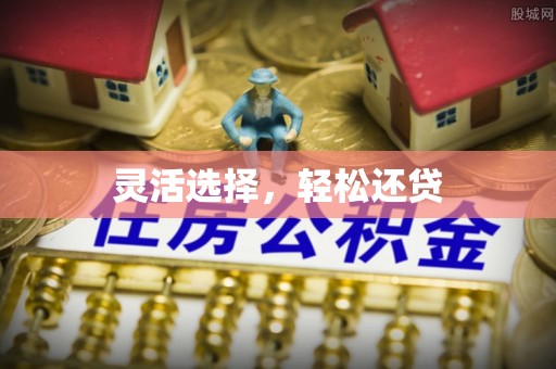 陵城灵活选择，轻松还贷