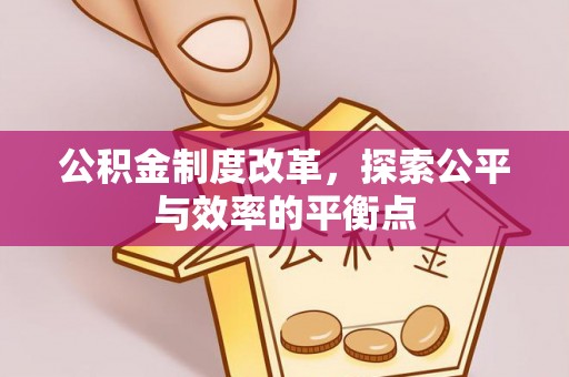 陵城公积金制度改革，探索公平与效率的平衡点