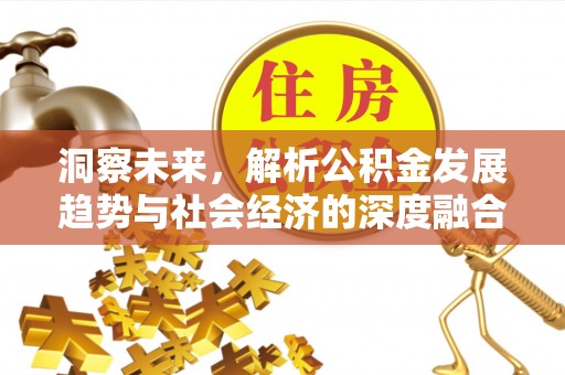 陵城洞察未来，解析公积金发展趋势与社会经济的深度融合