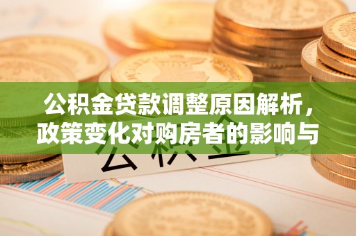 陵城公积金贷款调整原因解析，政策变化对购房者的影响与应对