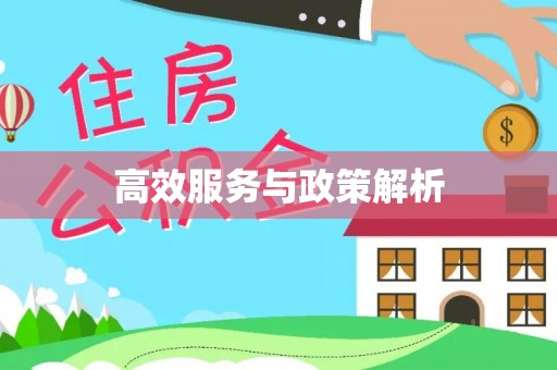 陵城高效服务与政策解析