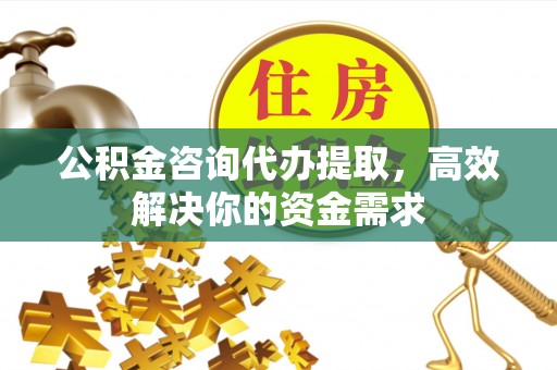 陵城公积金咨询代办提取，高效解决你的资金需求