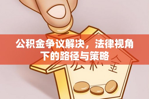 陵城公积金争议解决，法律视角下的路径与策略