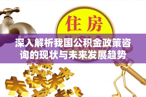 陵城深入解析我国公积金政策咨询的现状与未来发展趋势