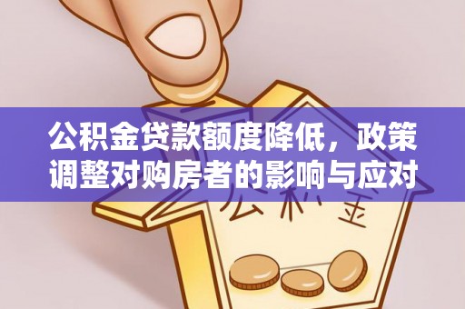 陵城公积金贷款额度降低，政策调整对购房者的影响与应对策略