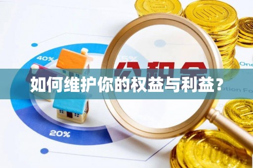 陵城如何维护你的权益与利益？