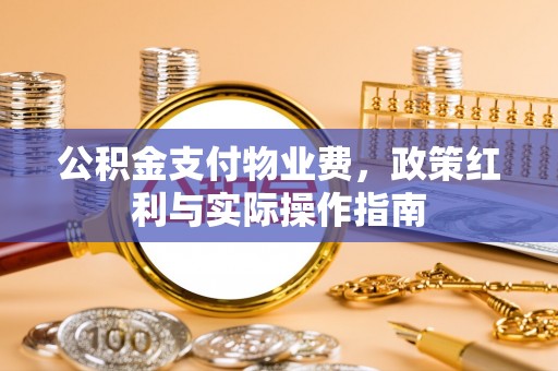 陵城公积金支付物业费，政策红利与实际操作指南
