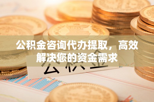 陵城公积金咨询代办提取，高效解决您的资金需求