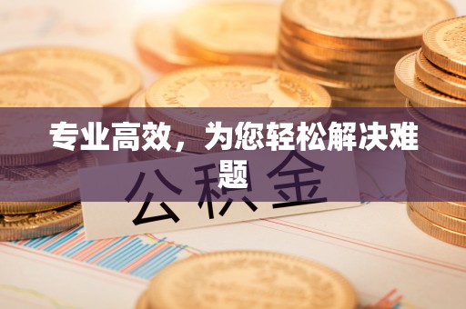 陵城专业高效，为您轻松解决难题