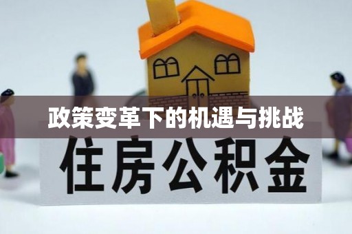 陵城政策变革下的机遇与挑战