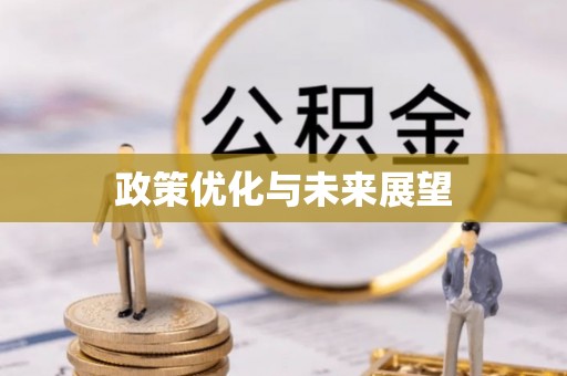陵城政策优化与未来展望