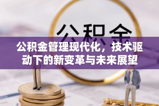 陵城公积金管理现代化，技术驱动下的新变革与未来展望