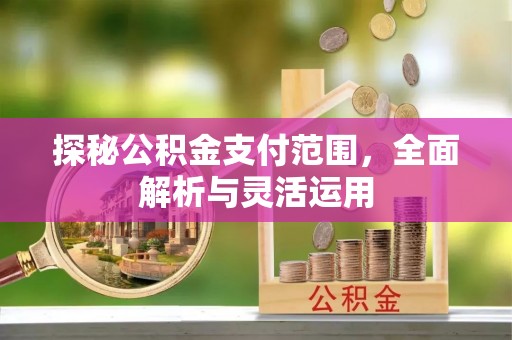 陵城探秘公积金支付范围，全面解析与灵活运用