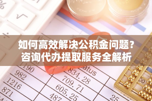 陵城如何高效解决公积金问题？咨询代办提取服务全解析
