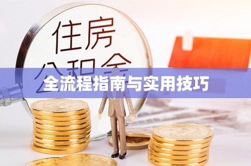 陵城全流程指南与实用技巧