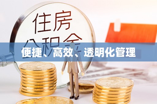陵城便捷、高效、透明化管理