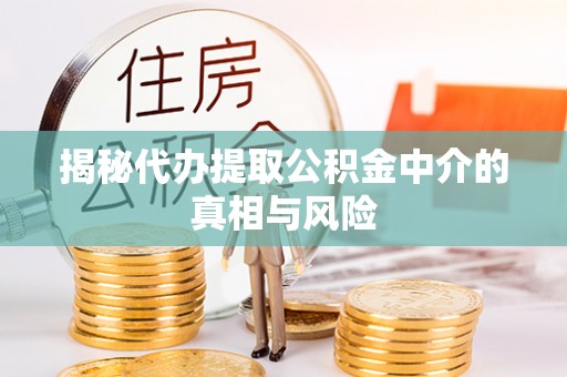 陵城揭秘代办提取公积金中介的真相与风险