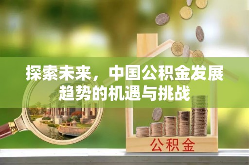 陵城探索未来，中国公积金发展趋势的机遇与挑战