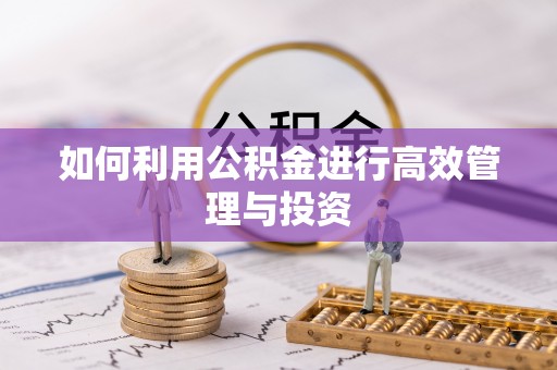 陵城如何利用公积金进行高效管理与投资