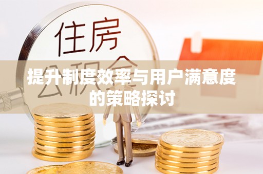 陵城提升制度效率与用户满意度的策略探讨