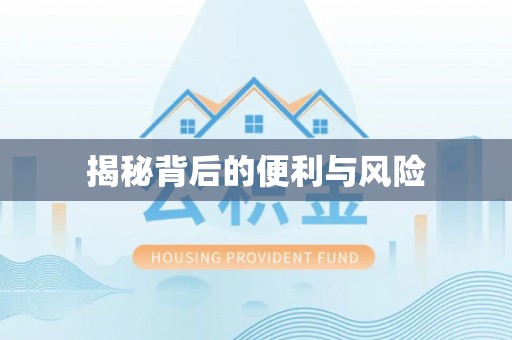 陵城揭秘背后的便利与风险