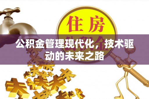 陵城公积金管理现代化，技术驱动的未来之路